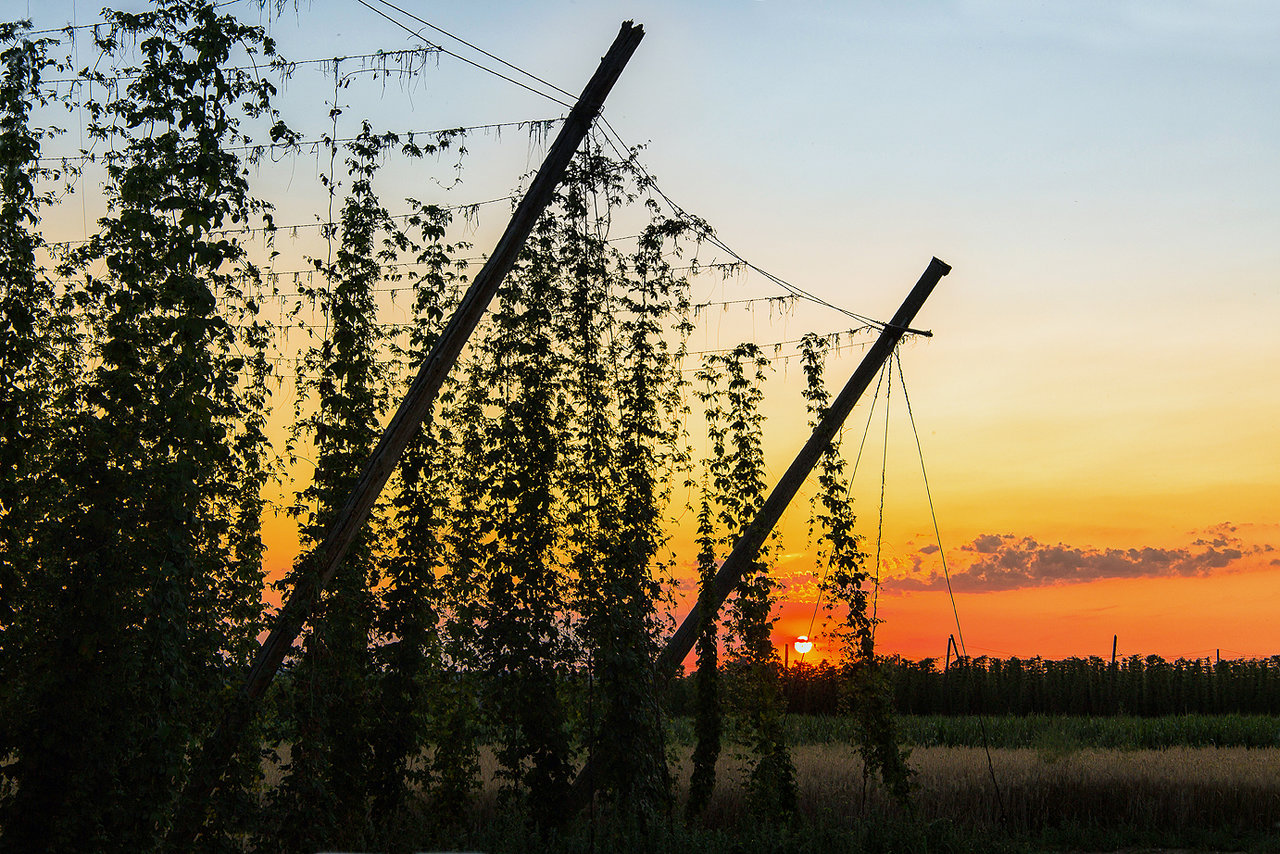 Gerader Sonnenuntergang