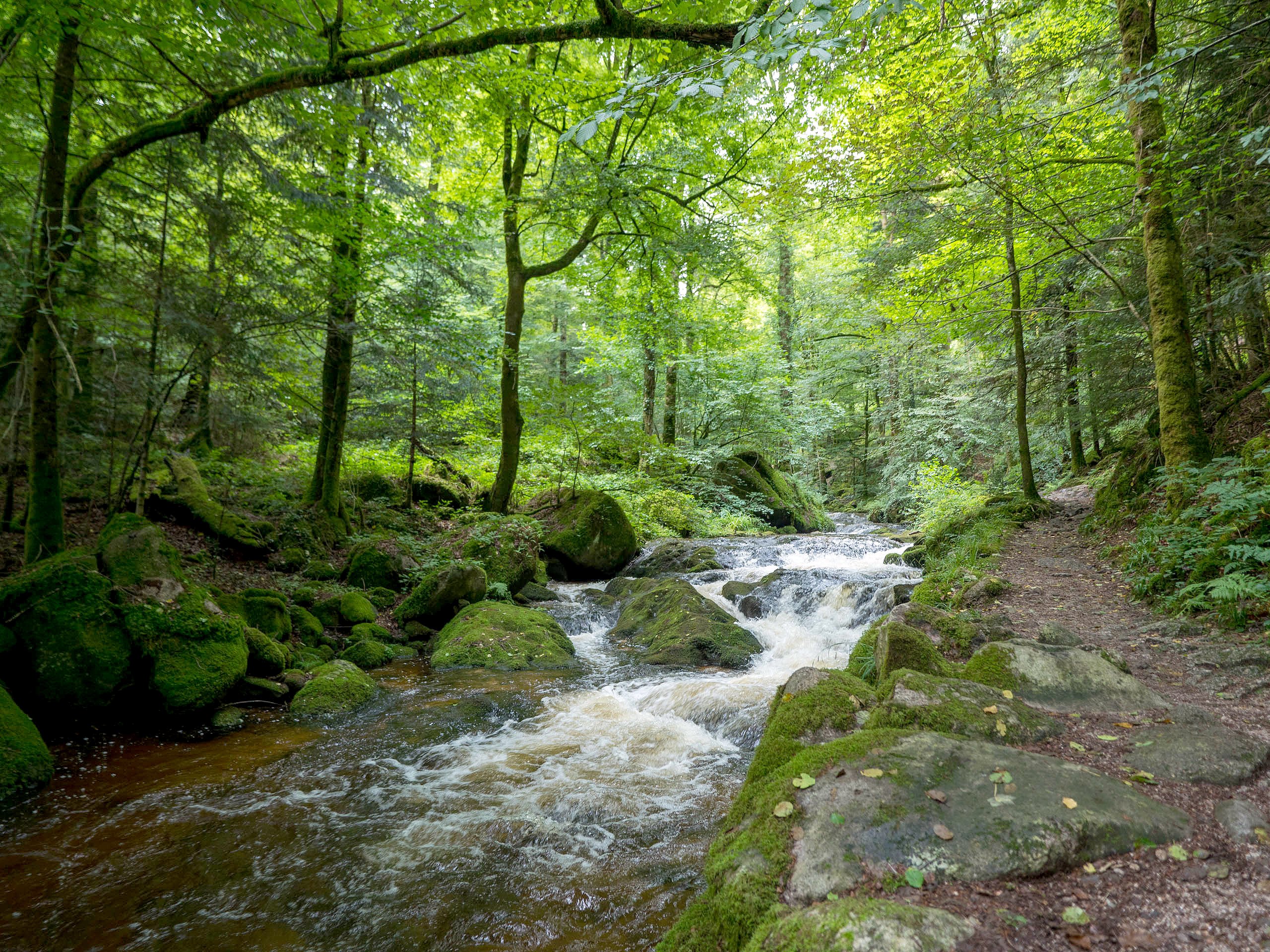 Geroldsauer Wasserfall