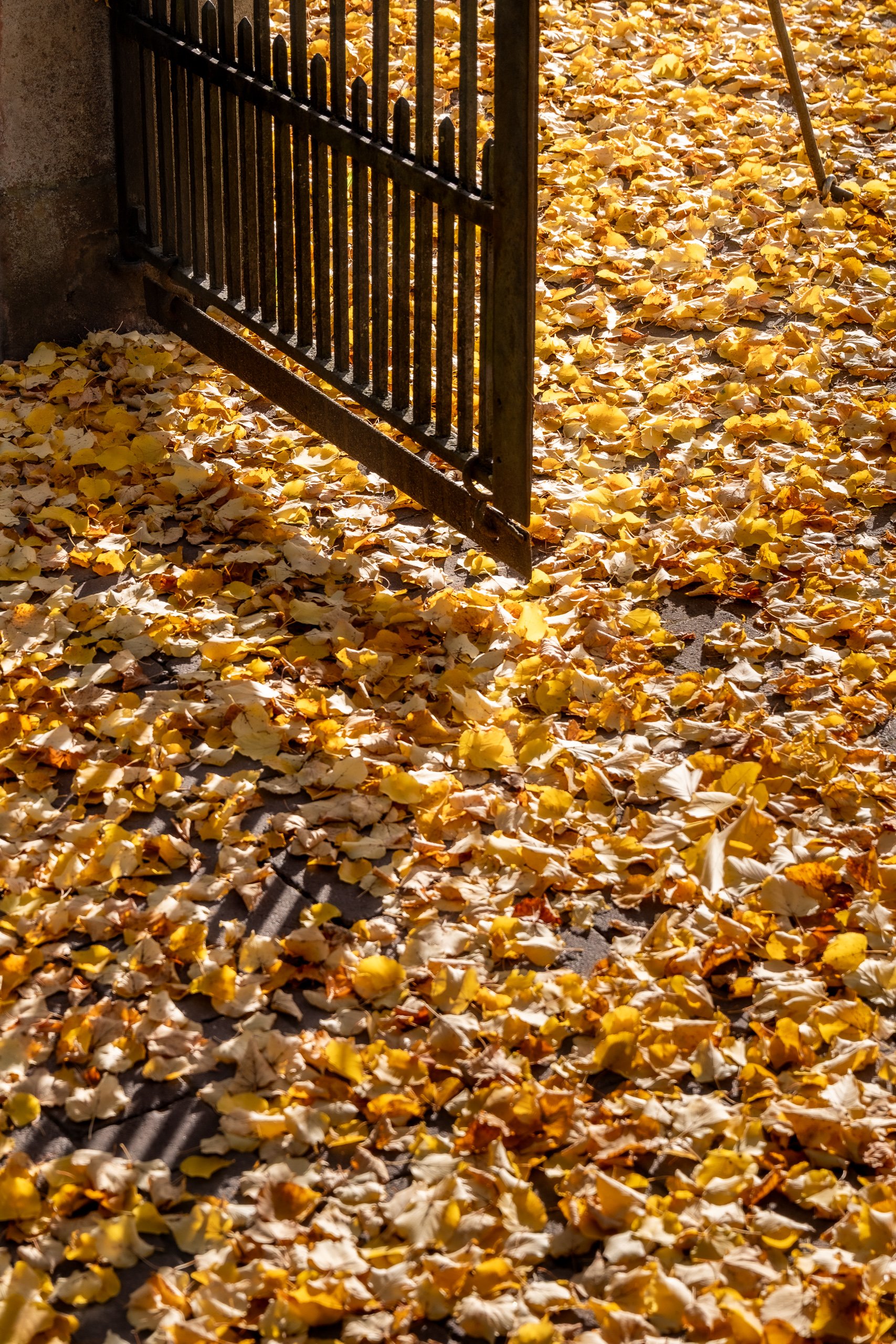 Goldener Oktober 2/3