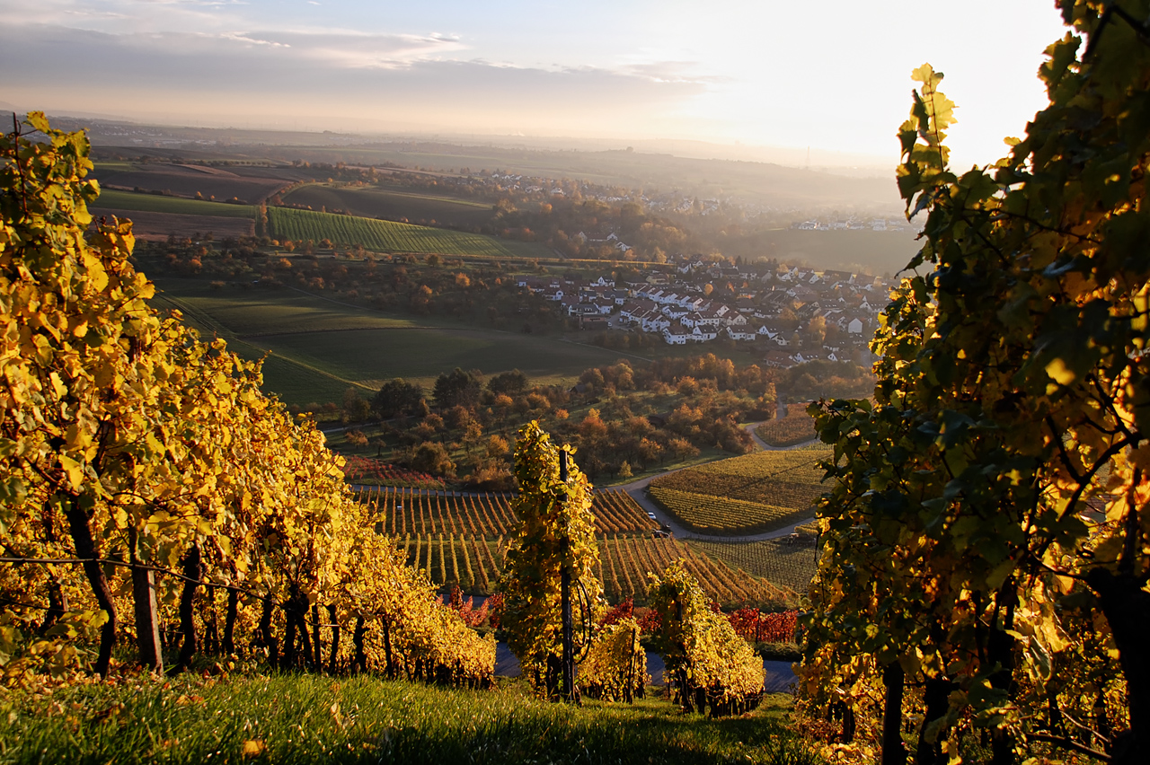 Goldener Oktober