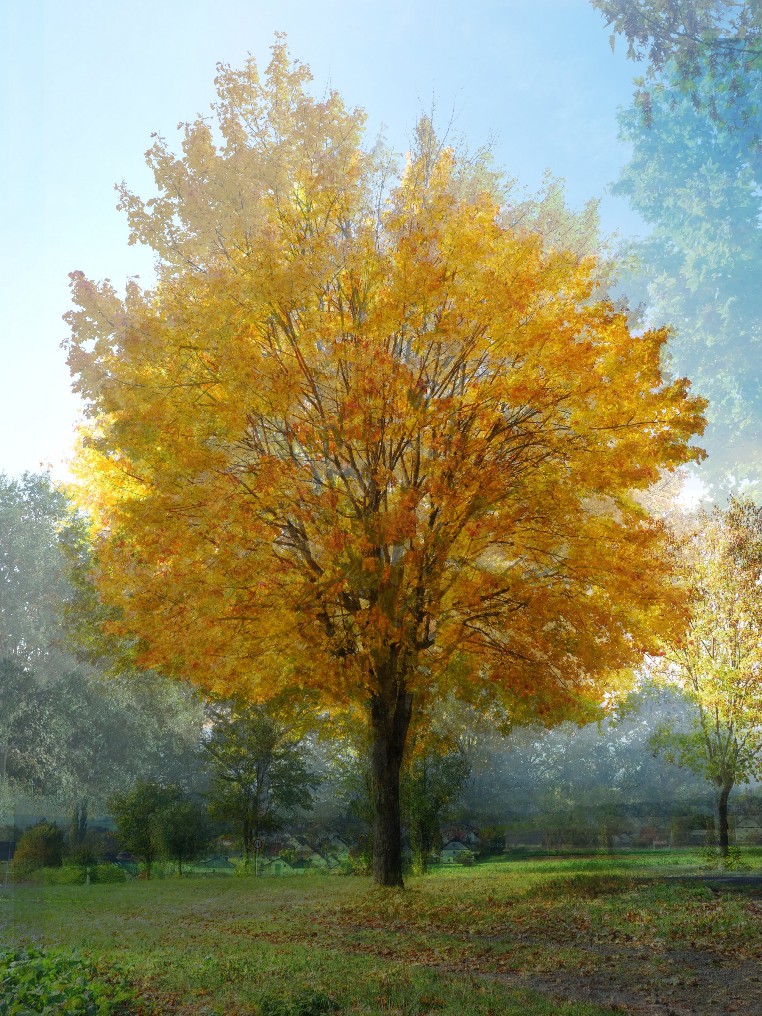 Goldener Oktober