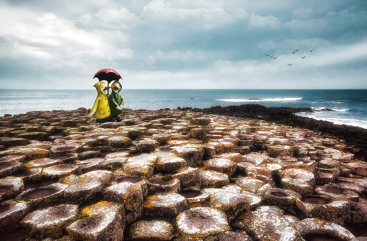 Greetings from Giants Causeway