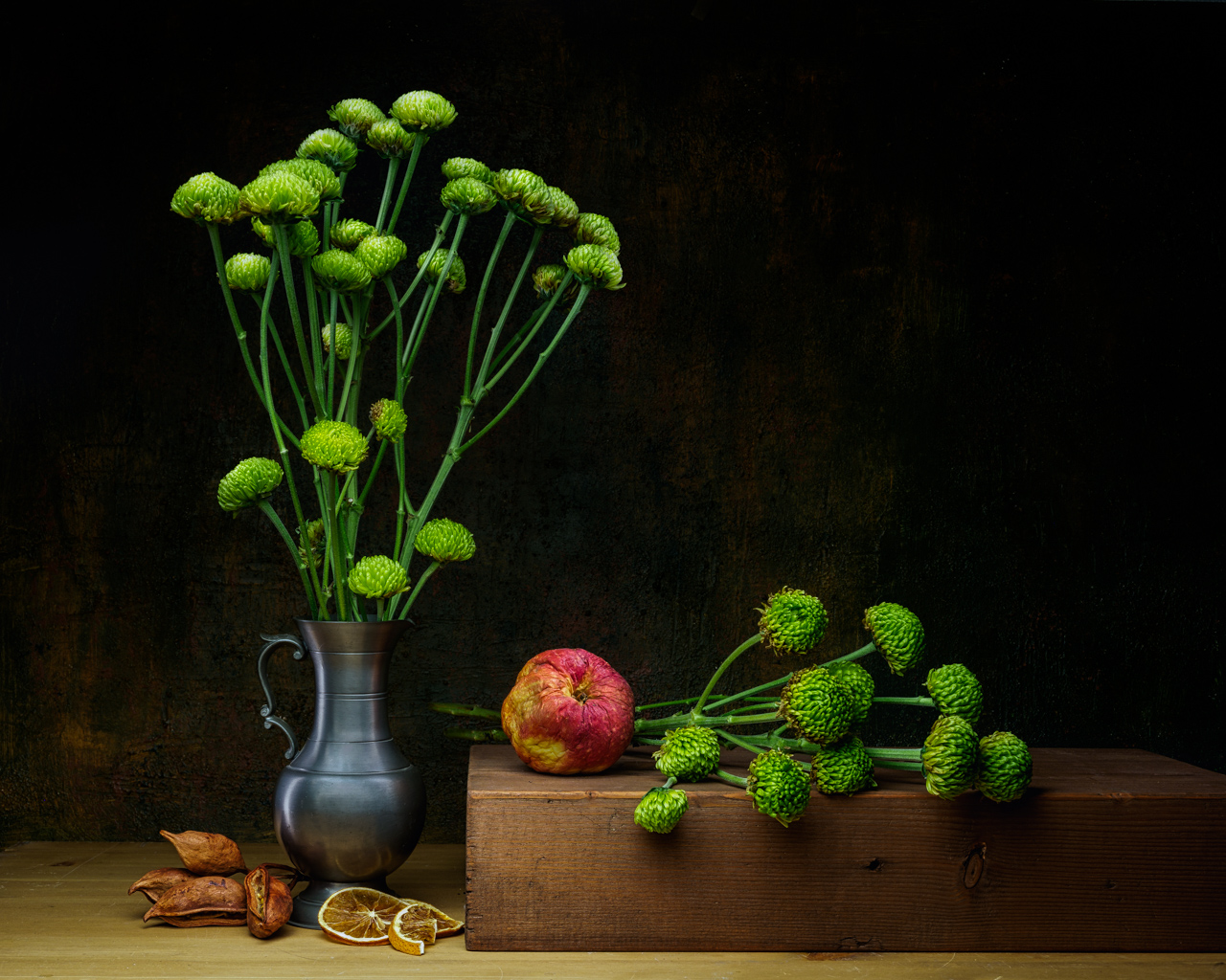 Grüne Chrysanthemen