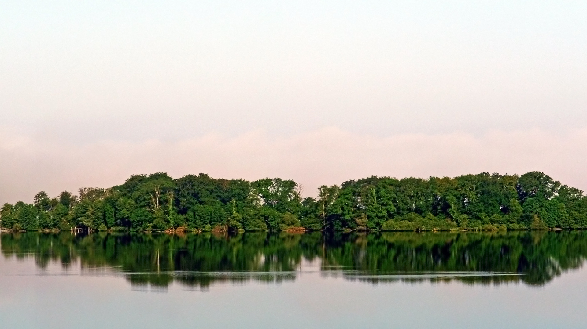 Grüne Insel
