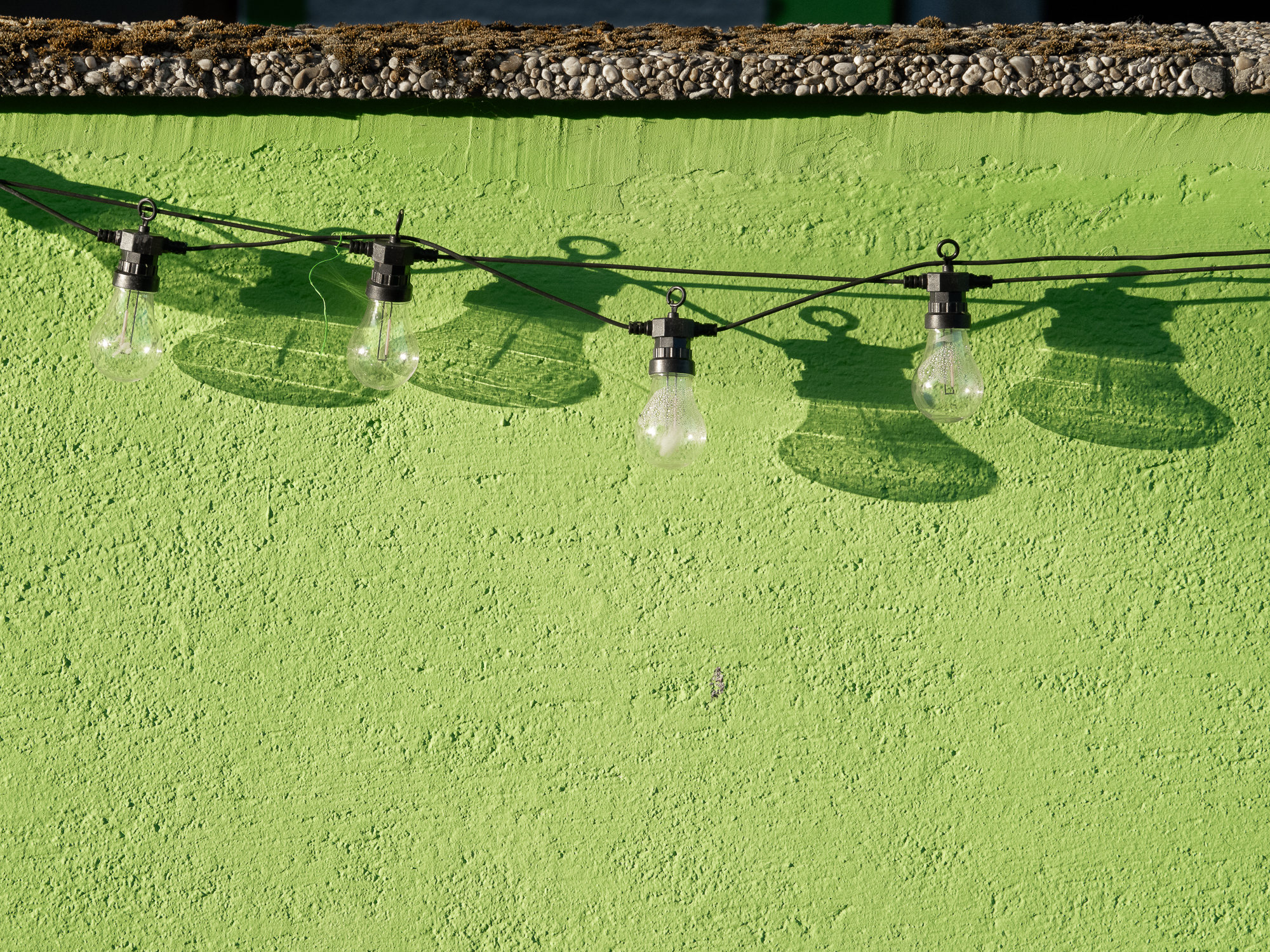 grüne Mauer