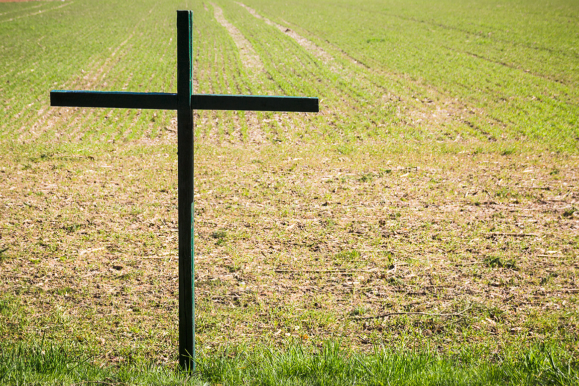 Grünes Kreuz