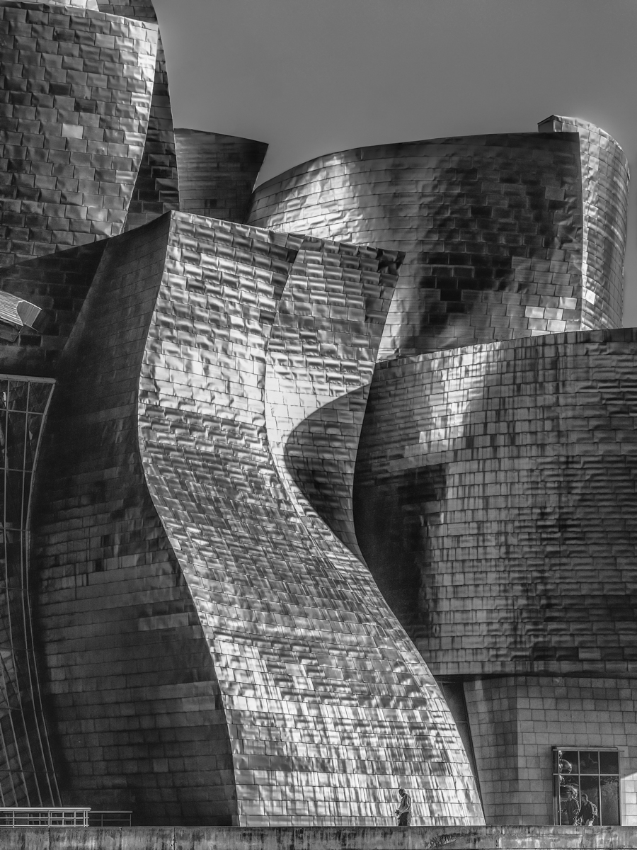 Guggenheim Museum Bilbao _01SW.jpg