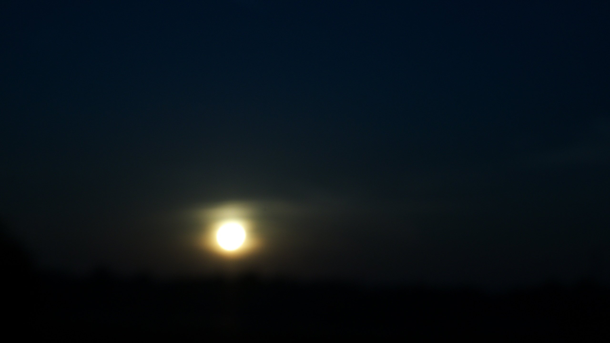 Guten Morgen Sonnenschein.