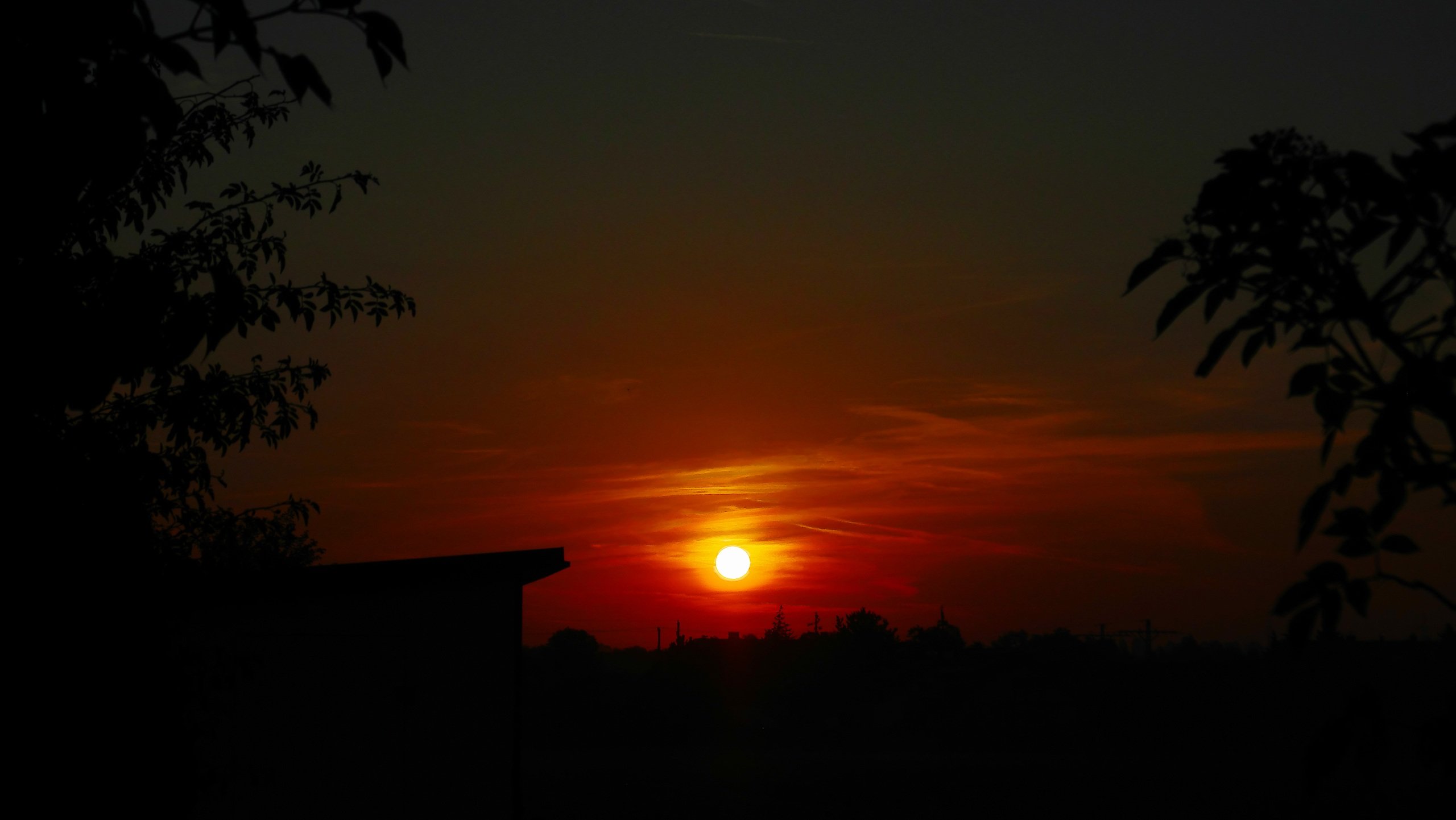 Guten Morgen Sonnenschein.