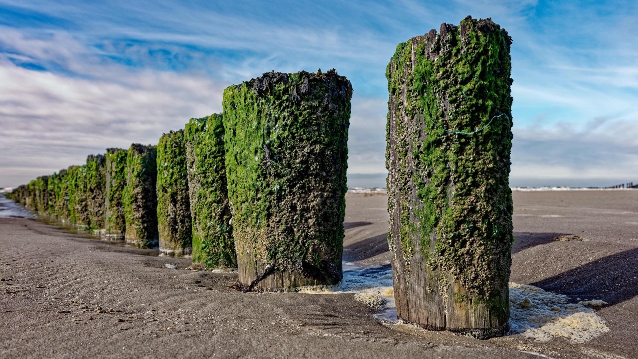 Hängen geblieben......