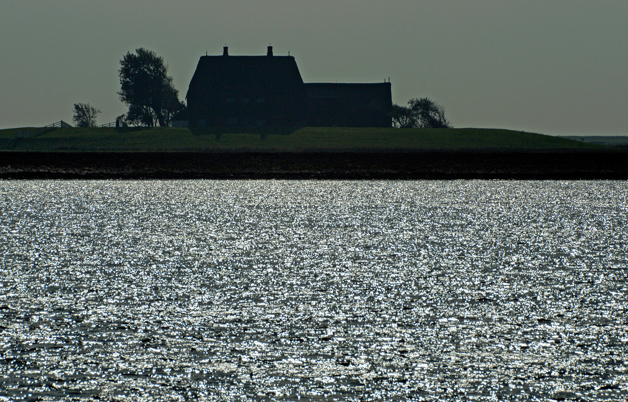 Hallig