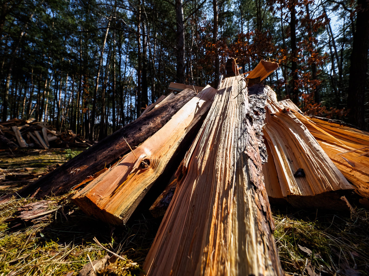 Haufen Holz