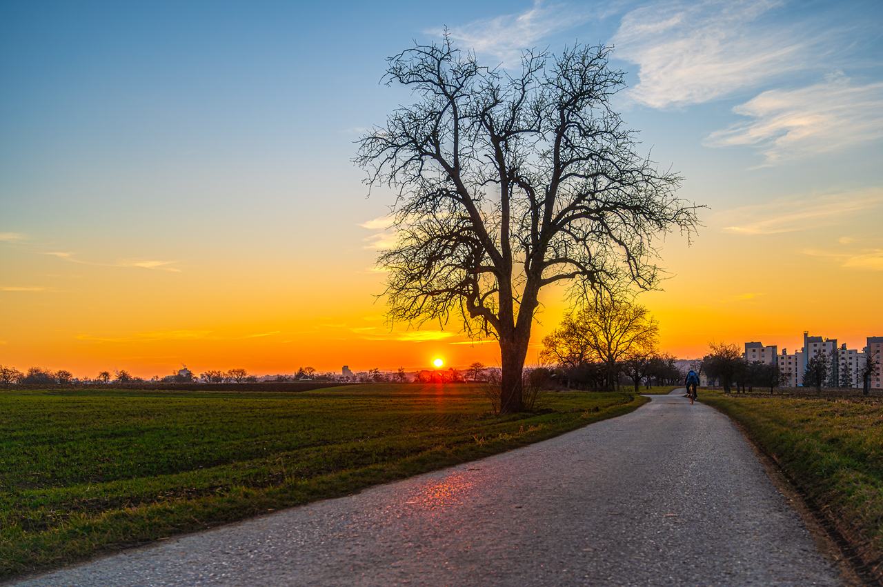 Heimfahrt im letzten Licht