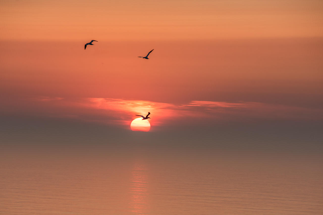 Helgoland