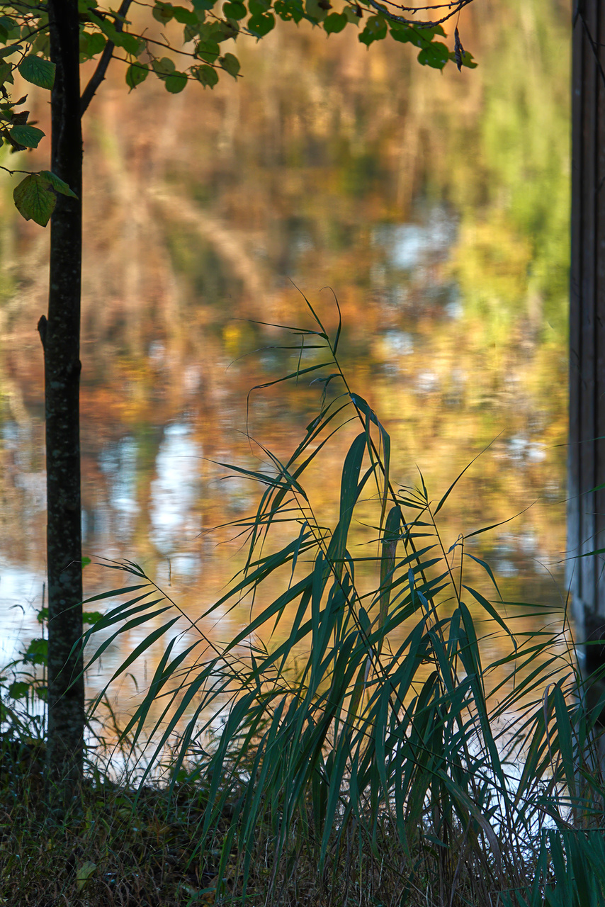 Herbst am See #2
