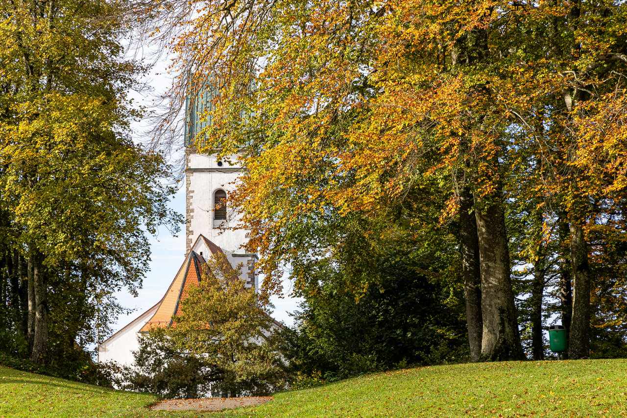 Herbst auf dem Bussen