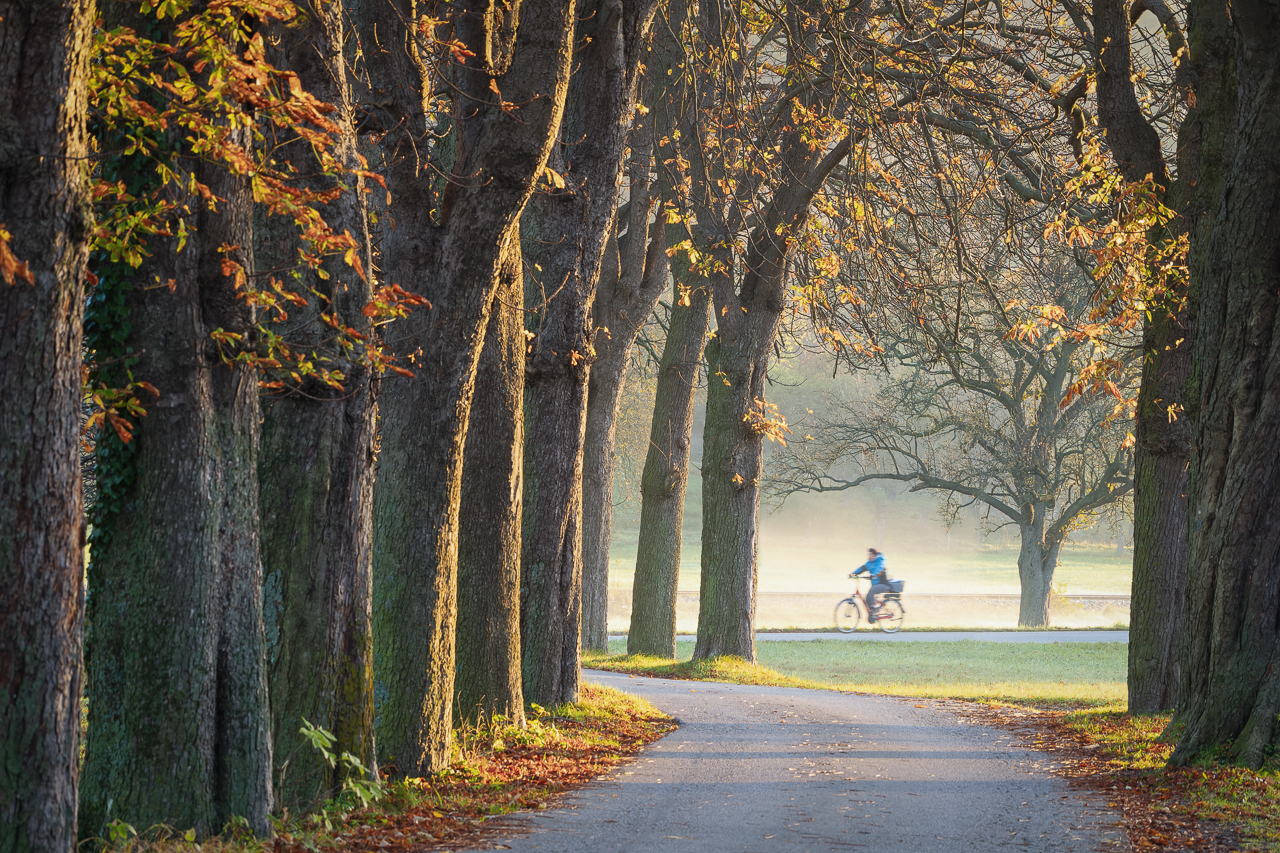 Herbst-Ausflug