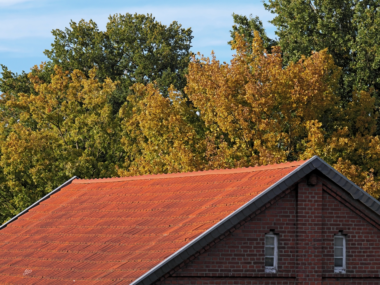 "Herbst?! Hinter meinem Rücken?!"