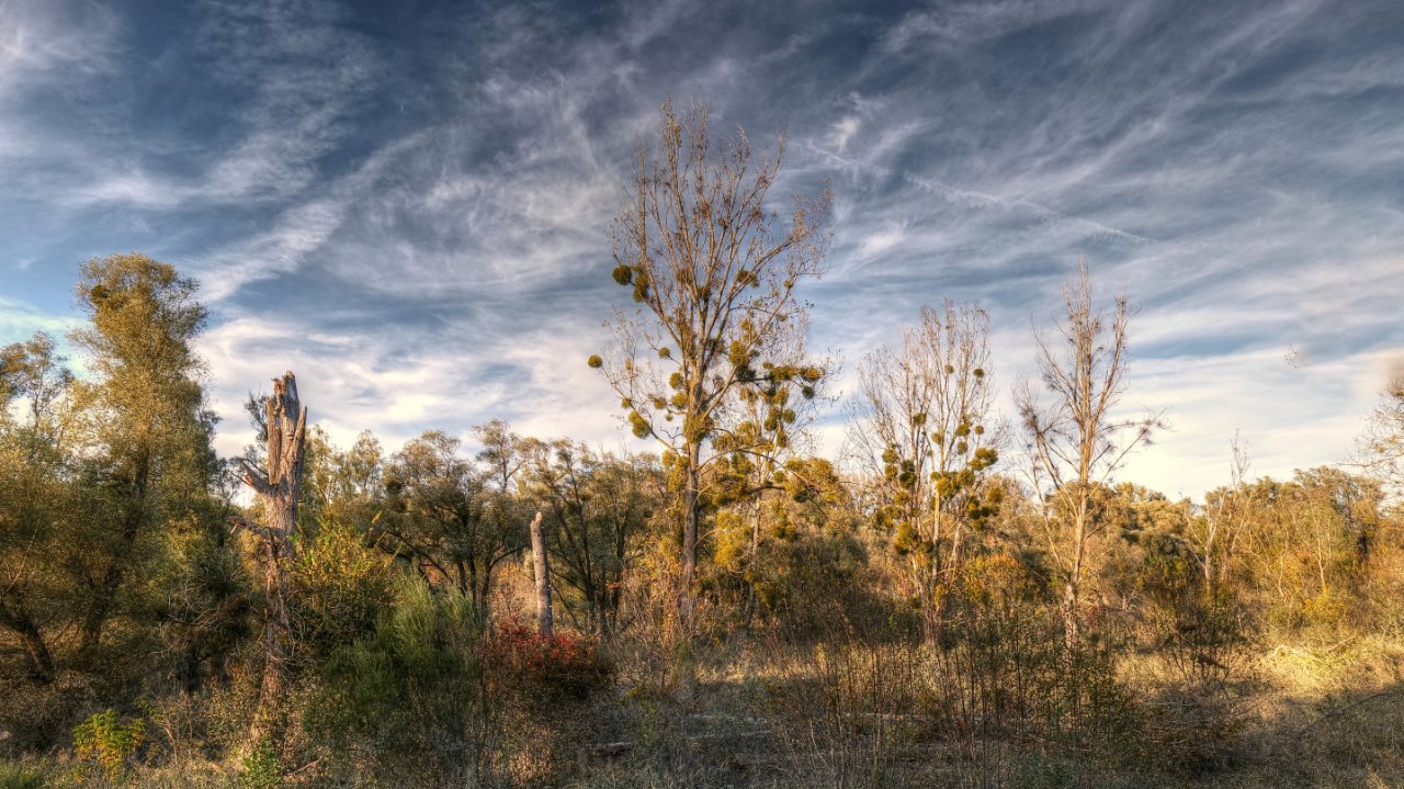 Herbst im Auenland