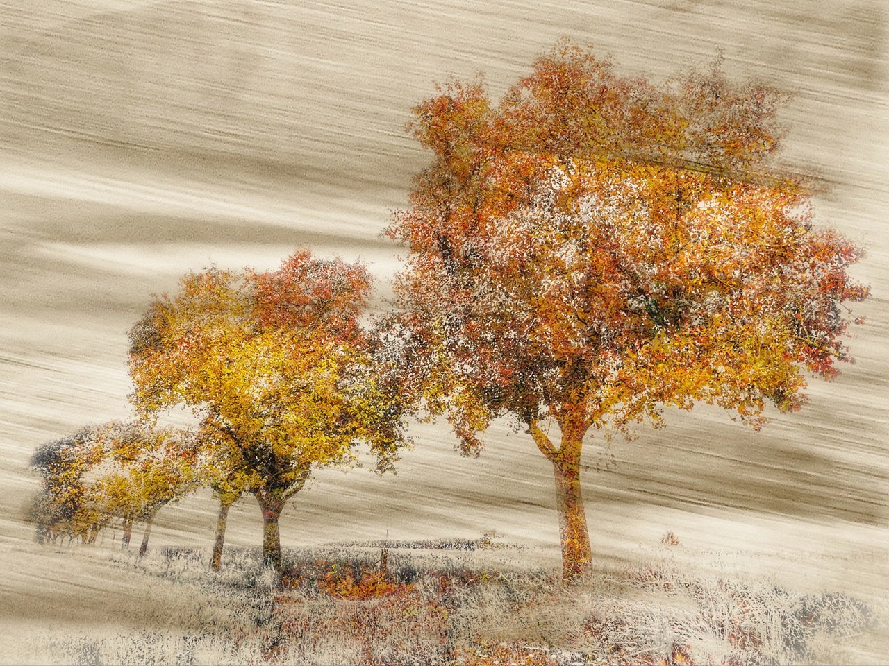 „Herbst im Gedächtnis“