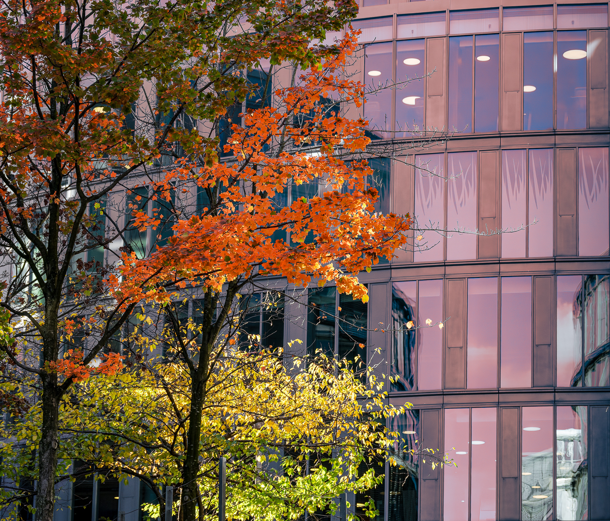 Herbst im Media-Park