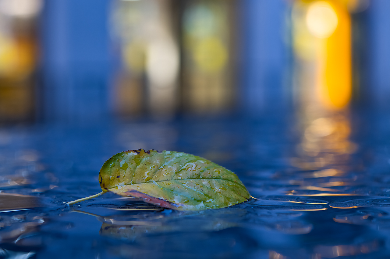 Herbst in der City