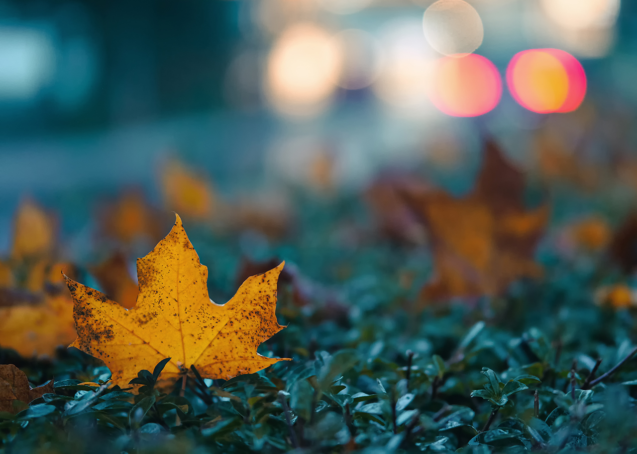 Herbst in der Stadt