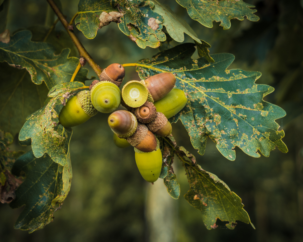 Herbst in Sicht