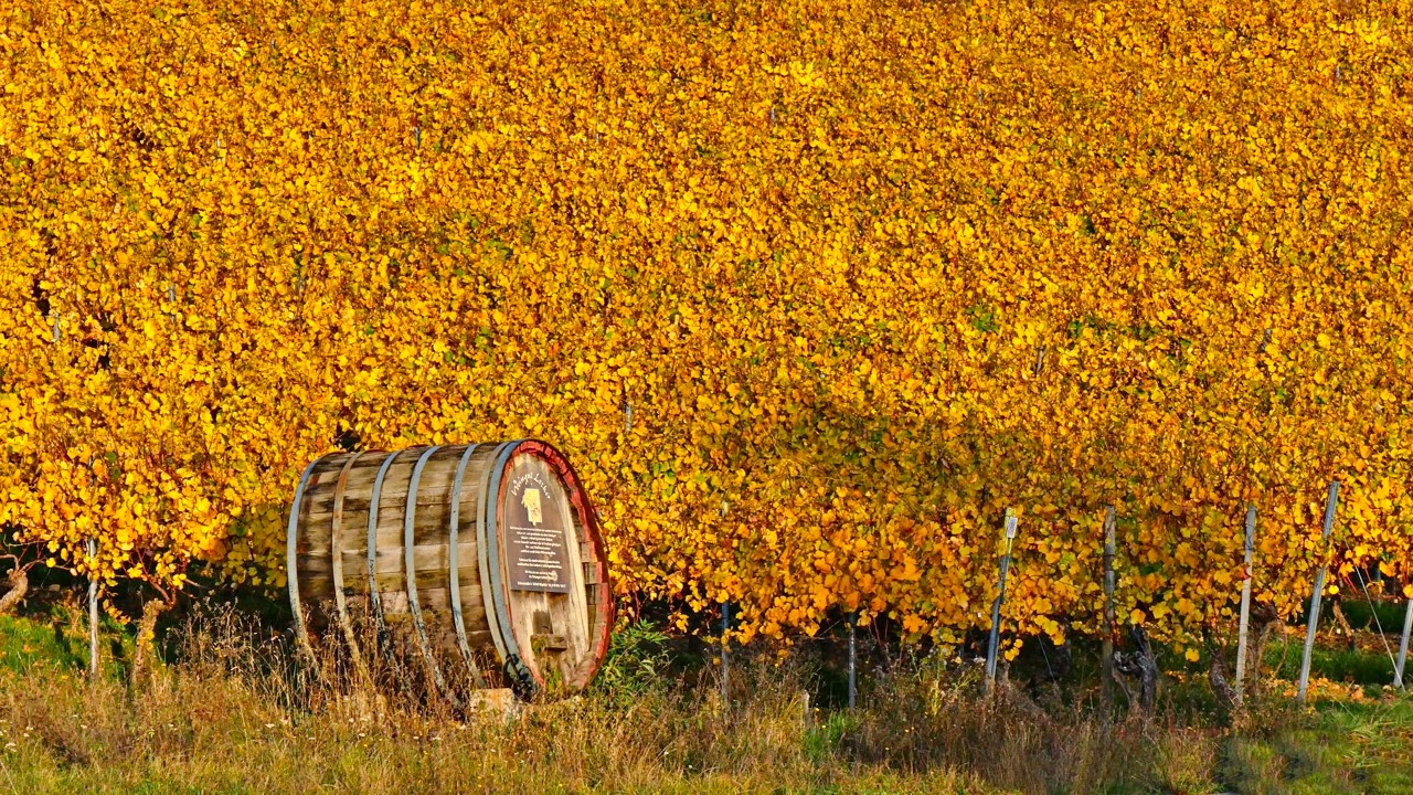 Herbst - PUR