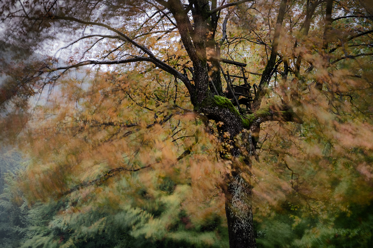 Herbst-Sturm