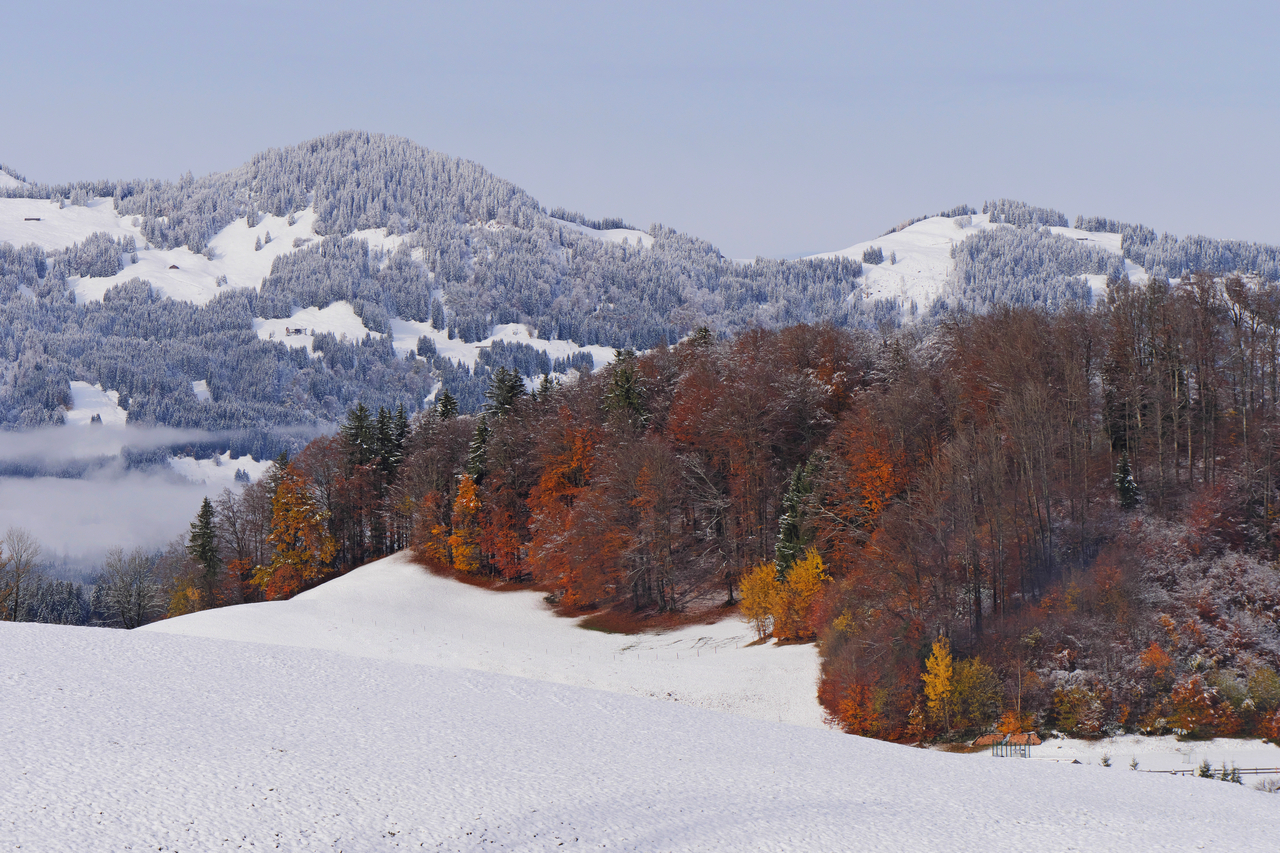 Herbst-Winterbild