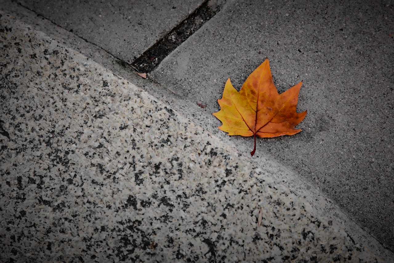 Herbst