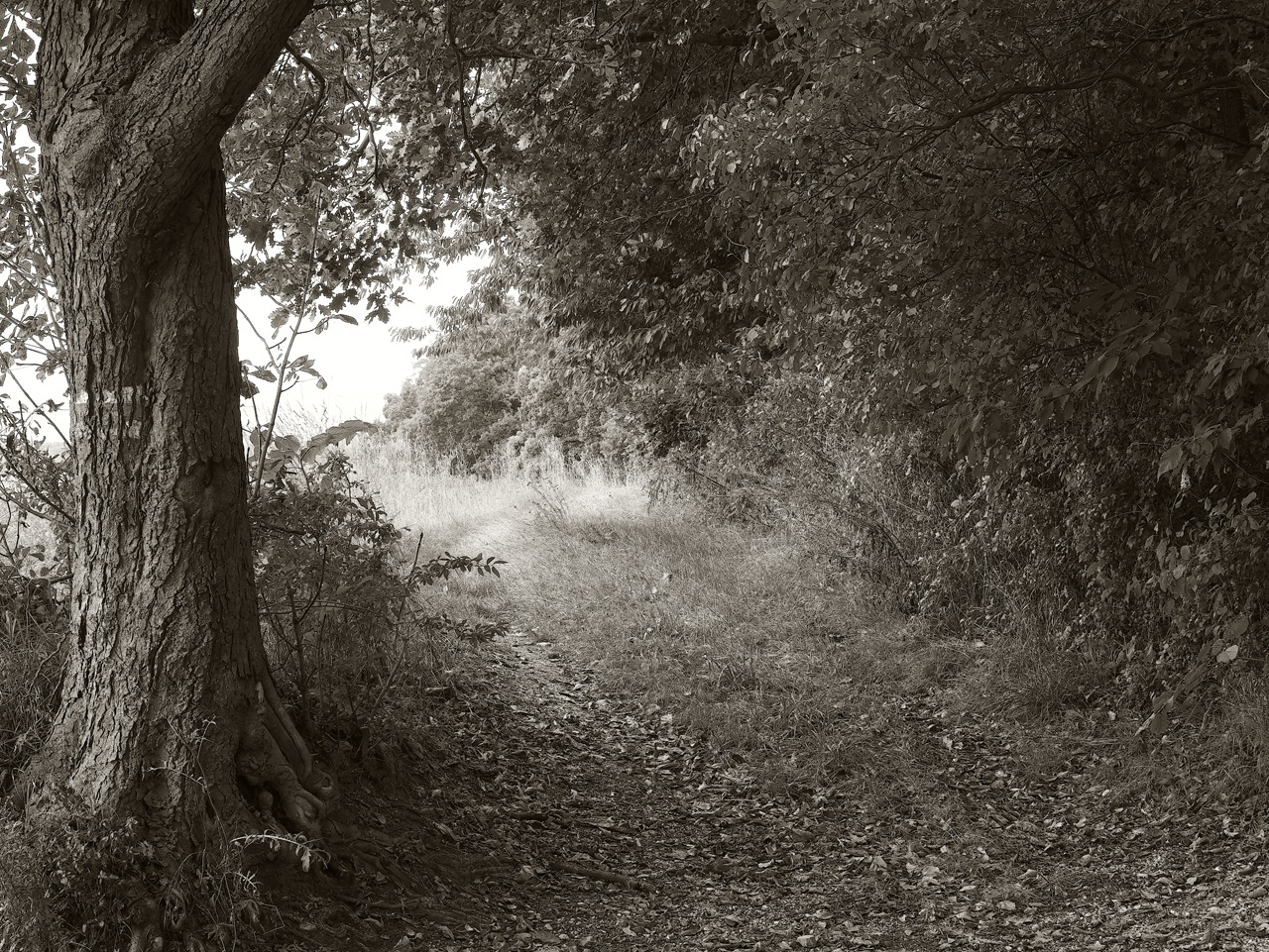 Herbstbild
