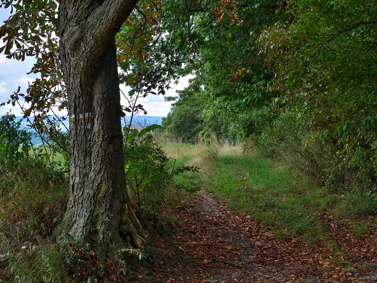 Herbstbild