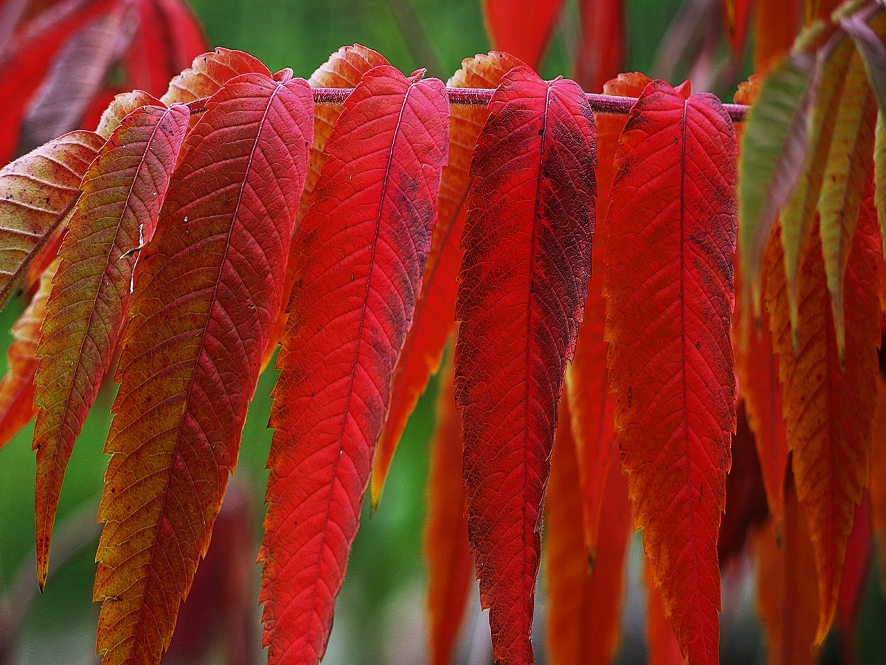 Herbstbild