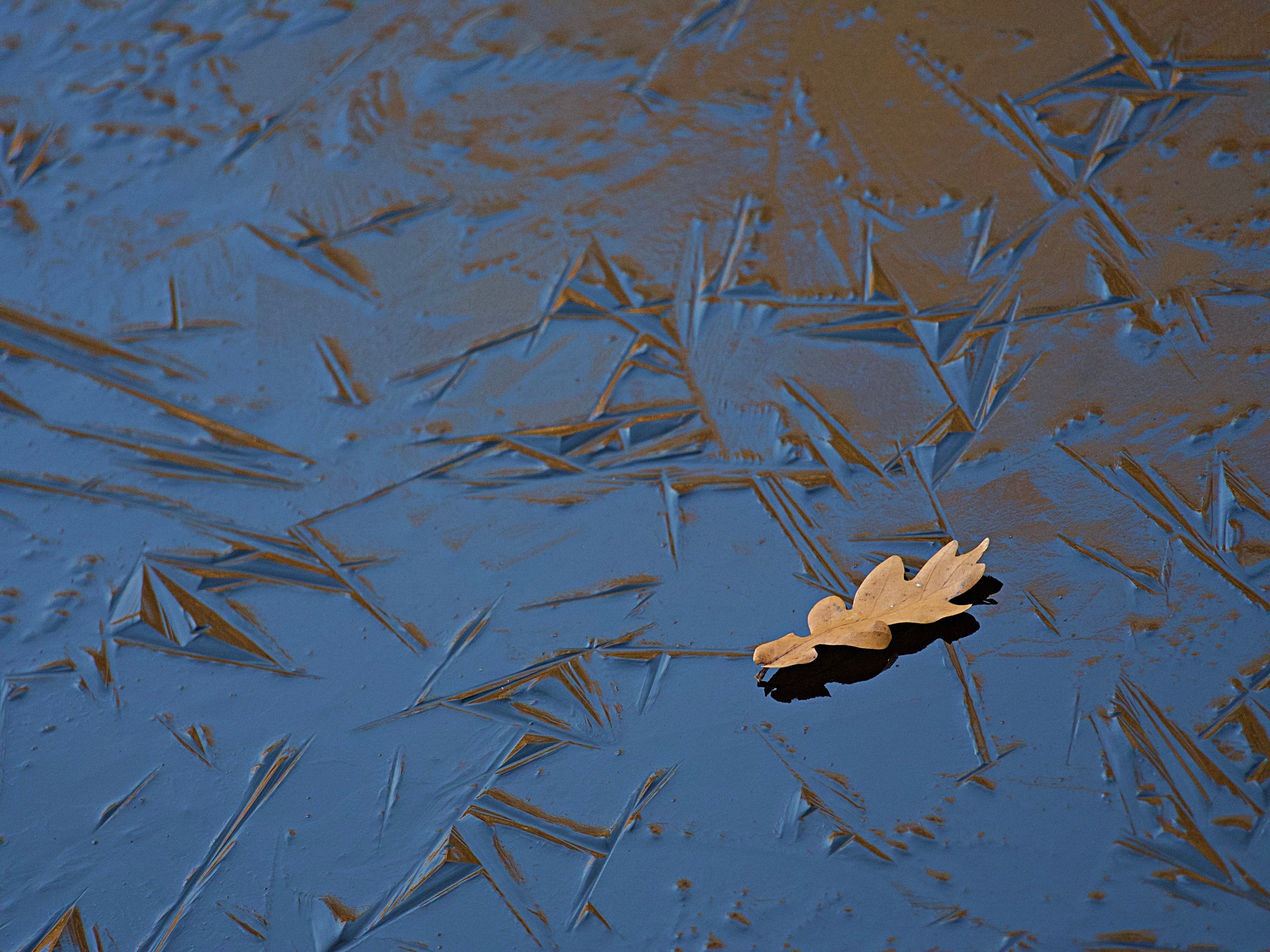 ... Herbstende + Winteranfang