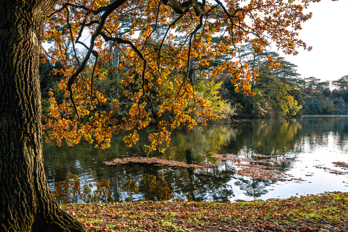 Herbstfarben.jpg