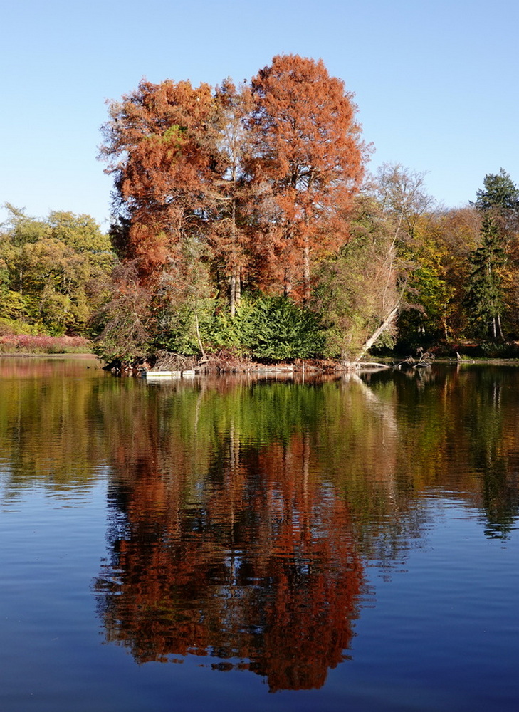 Herbstfarben