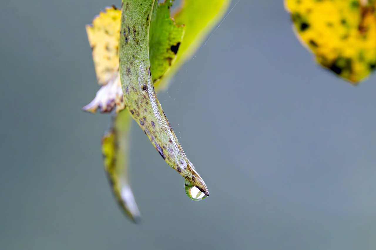 Herbstfarben