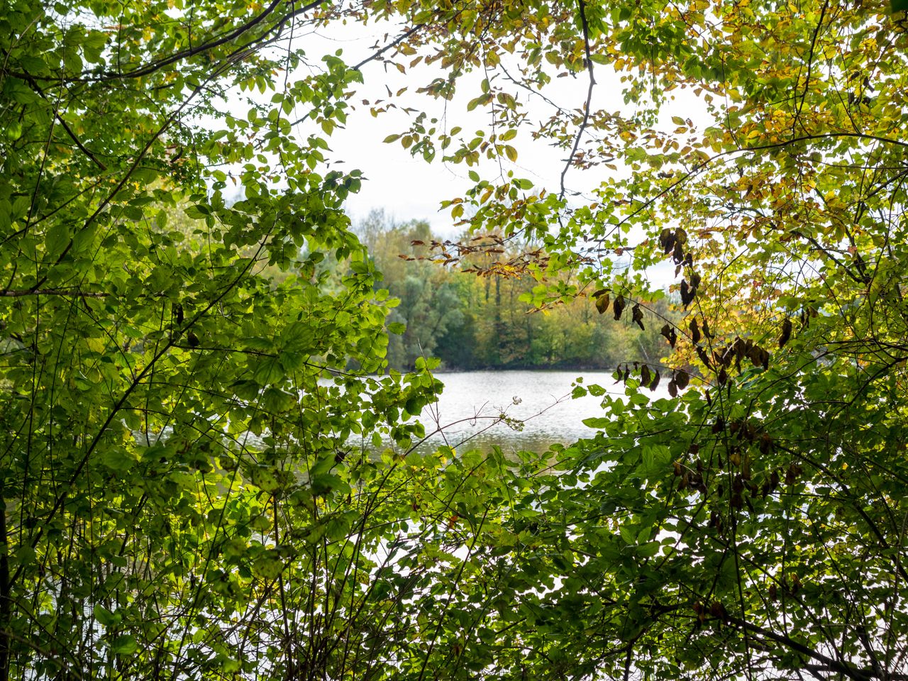 Herbstfenster