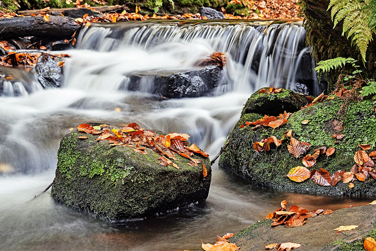 Herbstimpression