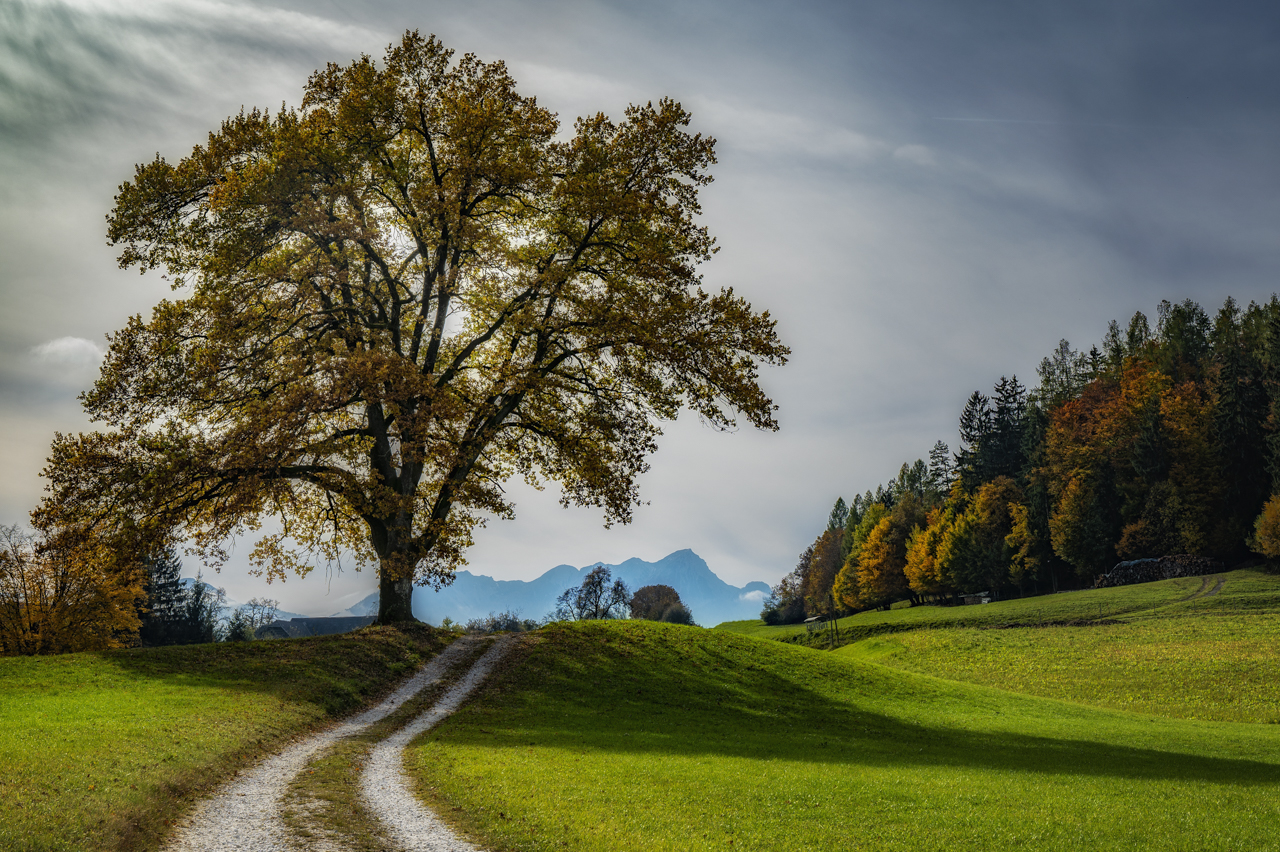 Herbstlandschaft.jpg