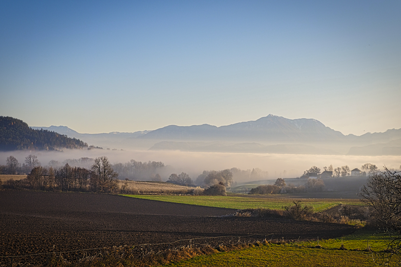 Herbstlandschaft mit Nebel