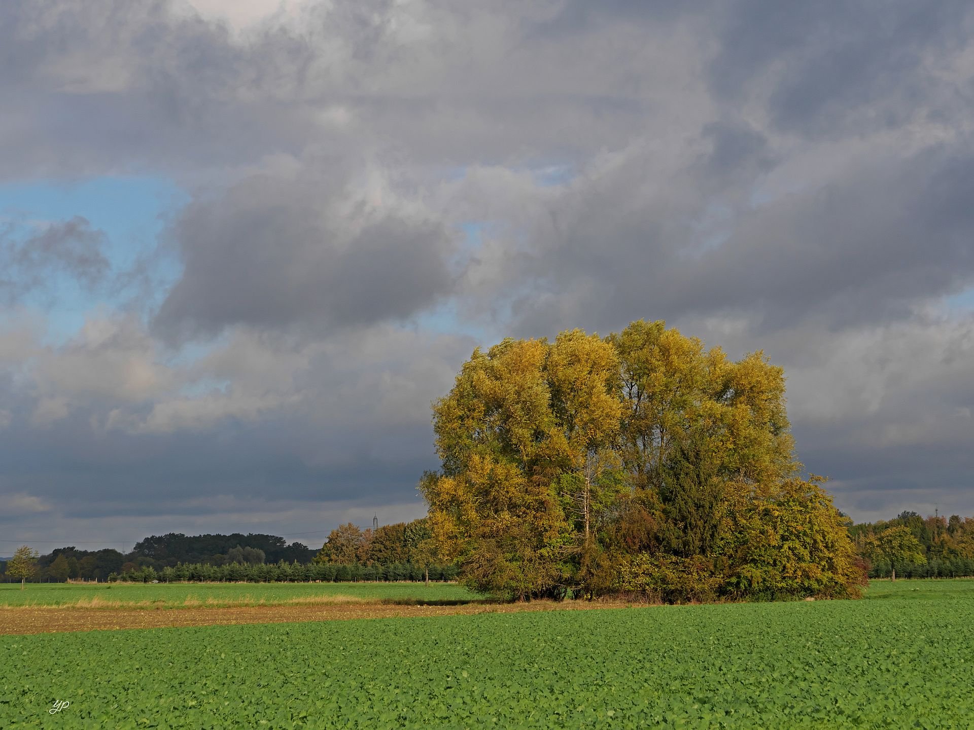 Herbstlandschaft