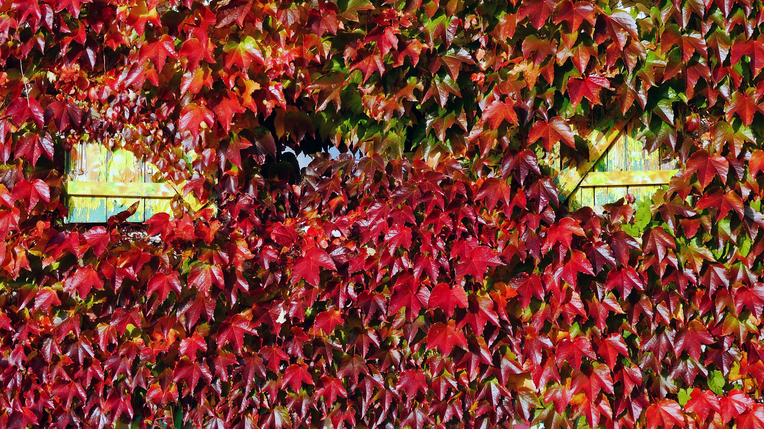 Herbstlich(t)