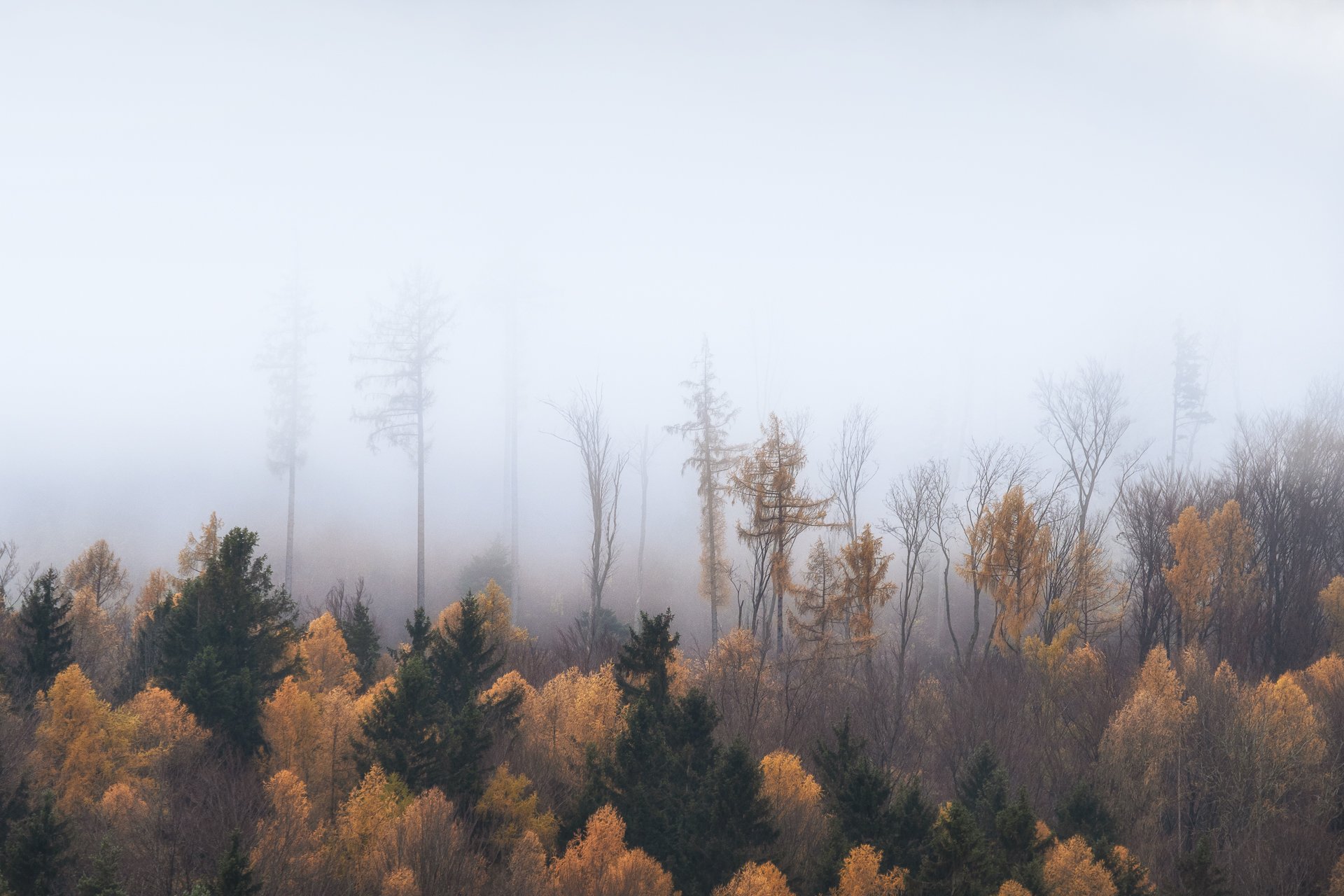 herbstliche Farbtupfer