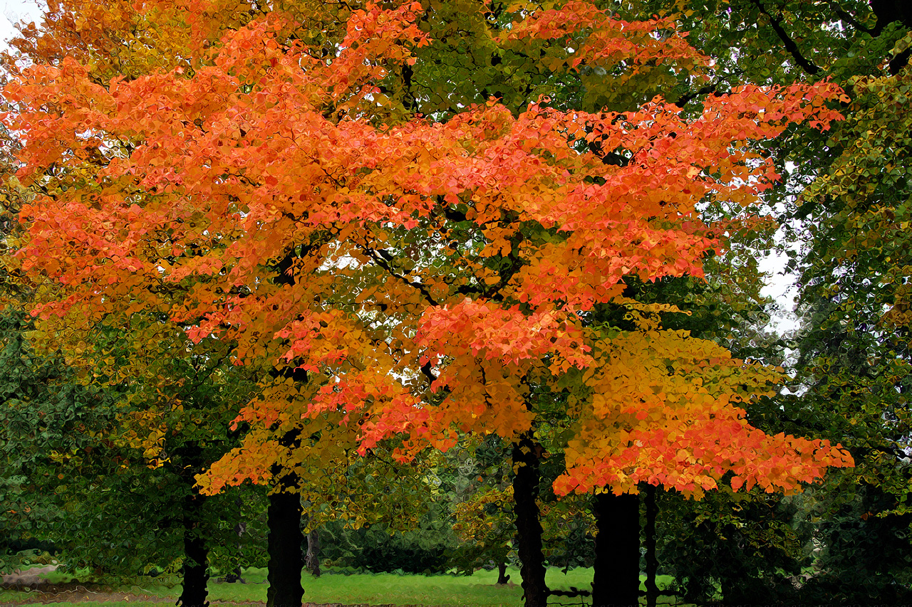 Herbstliche Impression