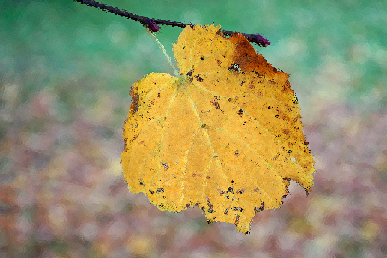 Herbstliche Impression