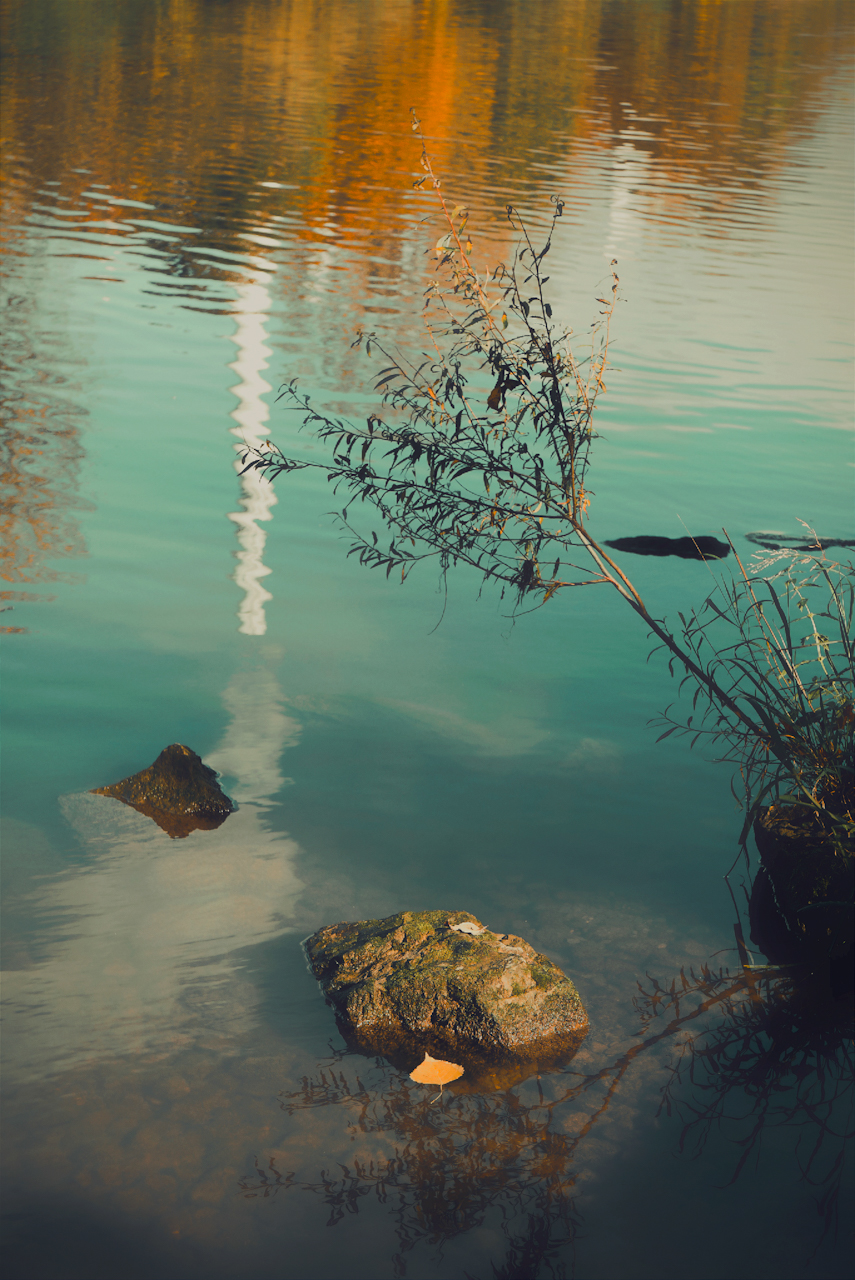 Herbstliche Spiegelung