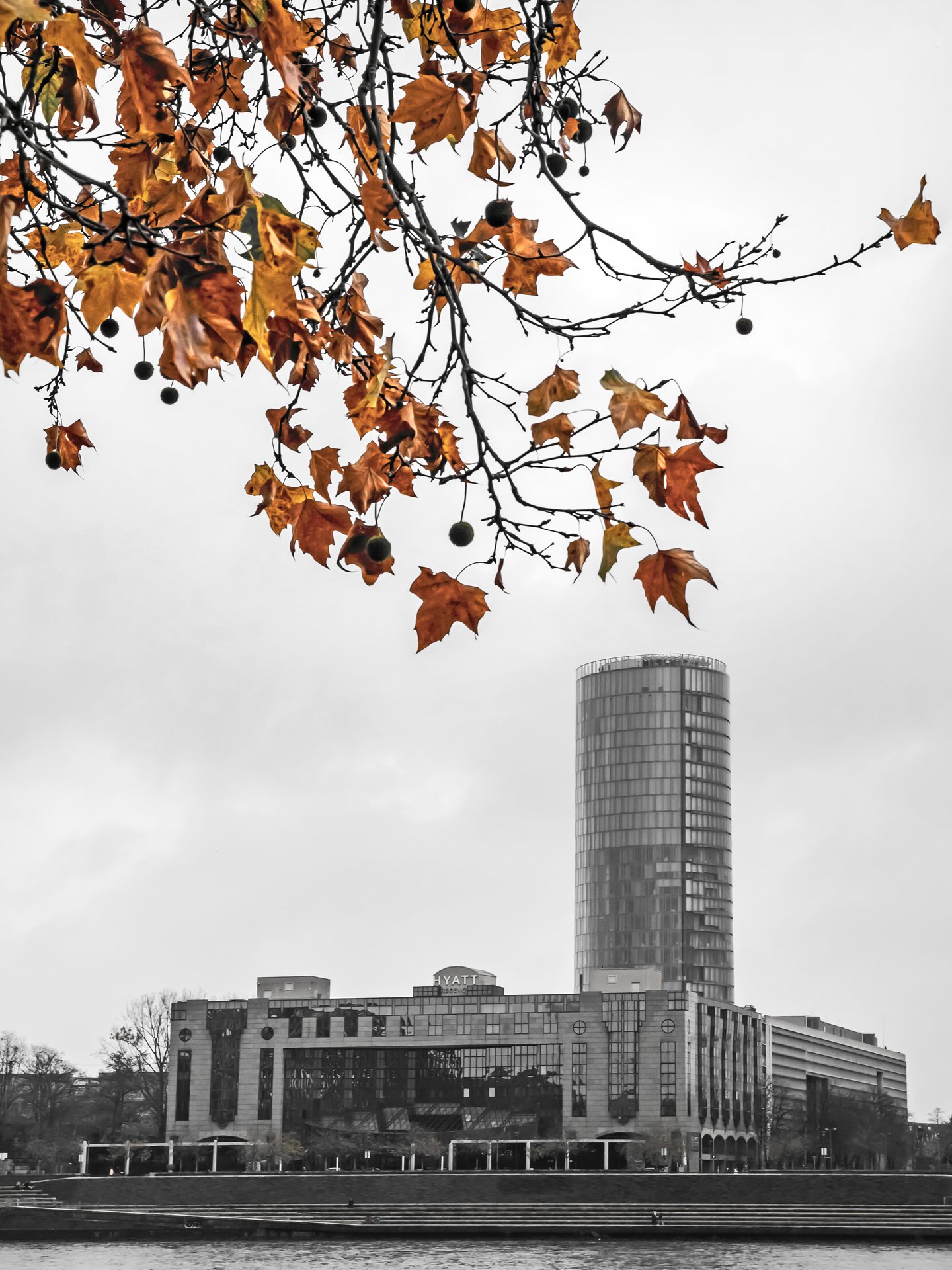 Herbstlicher Blick ins Trübe